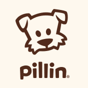 Logo de Pillin