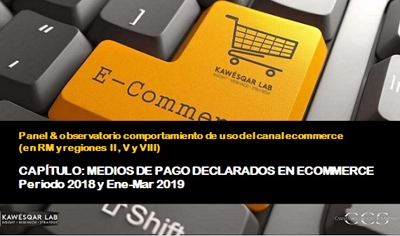 Medios de pago declarados en contexto de eCommerce