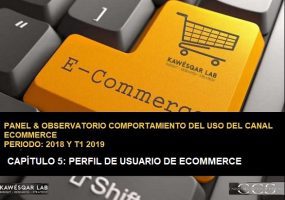 Perfil de usuarios ecommerce